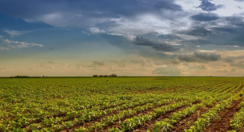 Pesquisa do Goiás Verde aponta que agro goiano pode ser sustentável